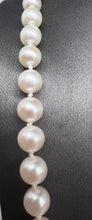 Load image into Gallery viewer, Pearl Necklace